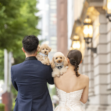 東京駅のクラシックな街並みで撮影した犬とのウェディングフォト