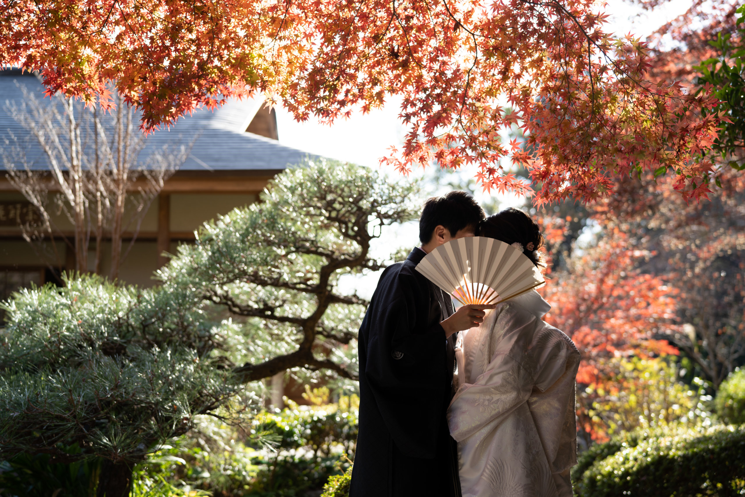紅葉の下、扇で顔を隠しながら寄り添う新郎新婦、和装姿。